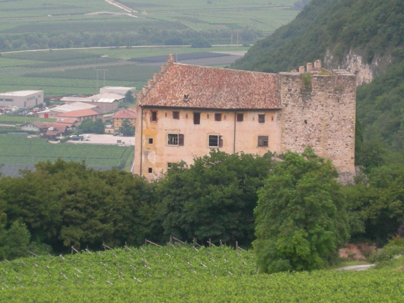 Castelli,Torri e Palazzi.....del Trentino